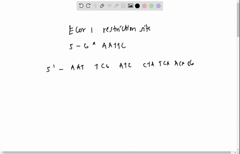 2-the-dna-sequence-of-one-strand-of-the-coding-region-of-the-gene-for-the-human-hormone-somatostatin-nine-amino-acids-is-contained-in-the-foilowing-sequence-the-somatostatin-open-reading-fra-67885