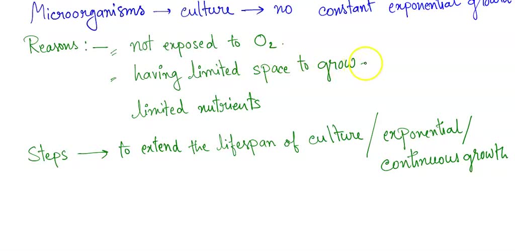 SOLVED Why do in cultures exhibit constant exponential