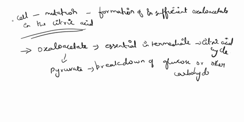 what-would-happen-to-a-cell-if-a-mutation-resulted-in-the-formation-of-insufficient-oxaloacetate-in-the-citric-acid-cycle-the-levels-of-malate-would-accumulate-there-would-be-a-decrease-in-n-29902