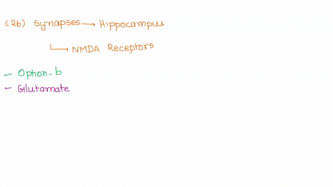 question-26-i0s-at-many-synapses-in-the-hippocampus-longterm-potentiation-depends-on-the-activation-of-nmda-rccepters-whicn-have-affinities-for-and-respond-to-glutamate-norepinephrinc-gaba-d-35268