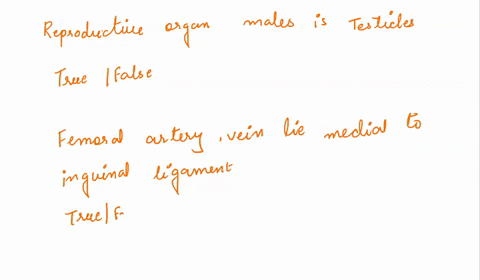 the-primary-reproductive-organ-in-the-male-is-the-testicletrue-or-falsethe-femoral-artery-and-vein-lie-medial-to-the-inguinal-ligament-true-or-false-81145