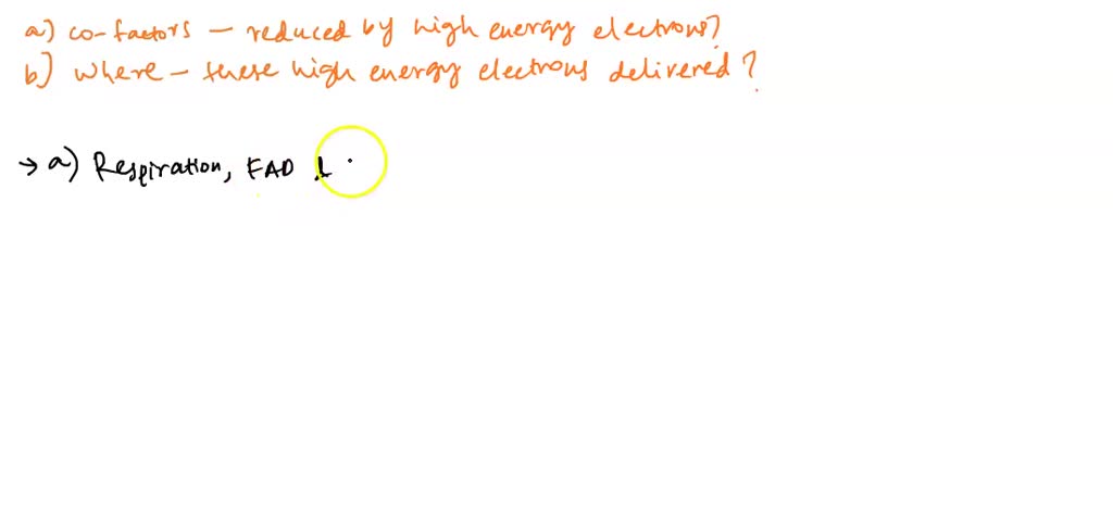 solved-food-molecules-like-glucose-contain-chemical-potential-energy