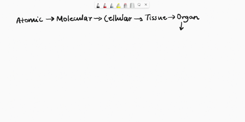 what-are-the-levels-or-organization-in-biology-34686