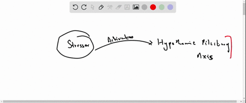 what-is-the-central-role-of-hypothalamus-in-the-response-to-stress-79844