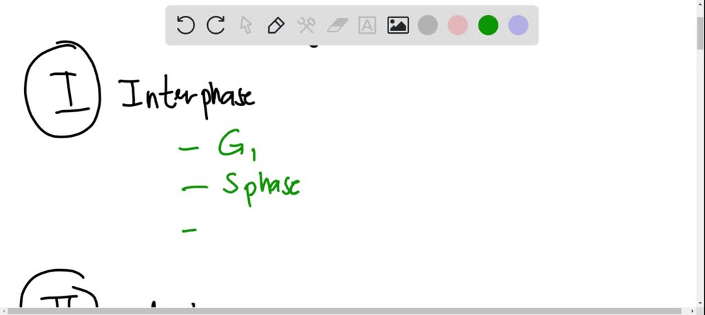 SOLVED: The diagram below represents the time a cell spends in the two ...