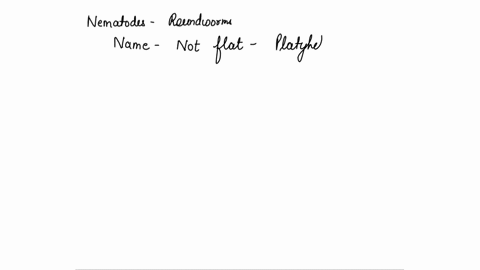 what-is-the-typical-morphological-feature-of-nematodes-that-differentiates-them-from-platyhelminthes-04814