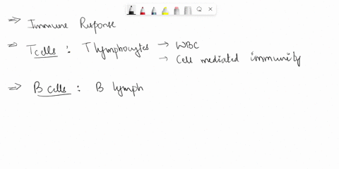 which-of-these-are-included-in-the-immune-response-select-3-correct-answers-t-cells-lymphocytes-b-cells-stem-cells-oil-91181