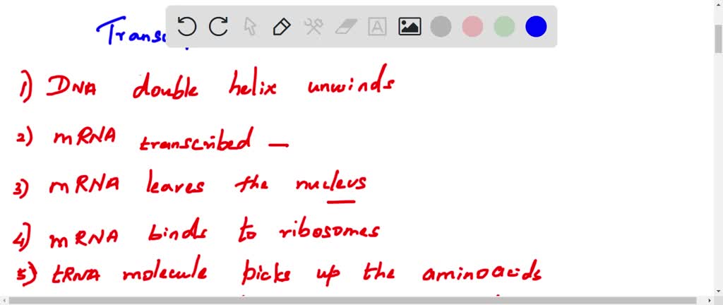 Solved:number The Steps In The Correct Order (1 Through 5).transcribe 