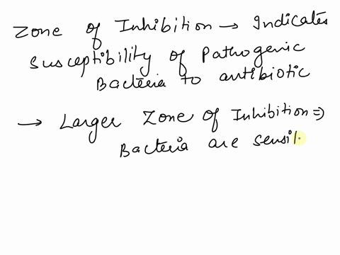 you-perform-a-kirby-bauer-assay-with-two-antibiotics-antibiotic-x-has-a-zone-of-inhibition-of-3-mm-antibiotic-y-has-a-zone-of-inhibition-of-5-mm-which-antibiotic-is-better-at-killing-this-pa-10169