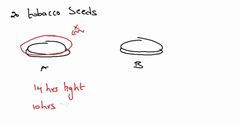 a-student-placed-20-tobacco-seeds-of-the-same-species-on-moist-paper-towels-in-each-of-two-petri-dis-99067