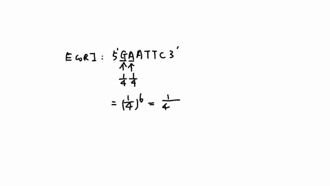 in-that-there-are-only-four-nucleotides-in-the-genome-and-they-are-represented-nearly-evenly-gc-content-45-at-content-55-there-is-a-simple-means-to-estimate-the-number-of-ecori-recognition-s-74904