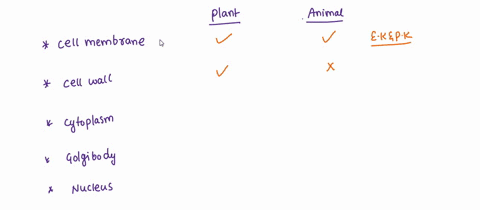 which-structures-are-found-in-both-animal-and-plant-cells-check-all-that-apply-cell-membrane-cell-wall-cytoplasm-golgi-body-nucleus-ribosome-vacuole-46223