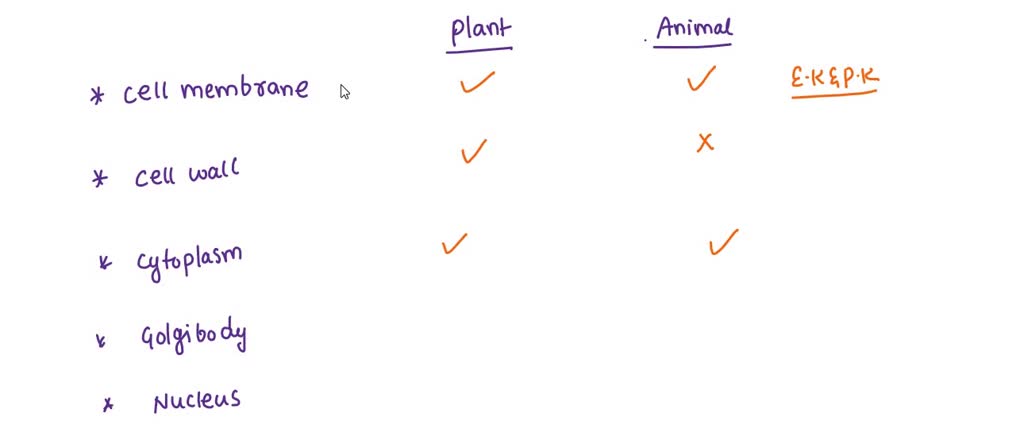 solved-list-all-structures-of-an-animal-cell