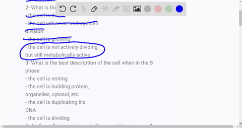 1-what-is-the-best-description-of-the-major-outcome-of-the-cell-cycle-2-daughter-cell-a-larger-cell-several-smaller-cells-a-round-cell-2-what-is-the-best-description-of-the-g0-phase-the-cell-34518