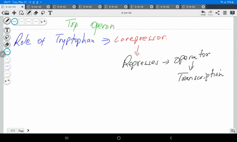in-the-trp-operon-tryptophan-is-best-characterized-as-being-a-a-repressor-b-inducer-corepressor-d-dna-binding-domain-83431