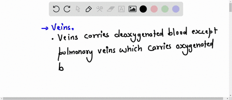which-statement-is-accurate-about-veins-a-veins-always-transports-deoxygenated-blood-b-veins-drain-into-smaller-vessels-called-venules-c-the-largest-tunic-in-a-vein-is-the-tunica-externa-d-t-02558