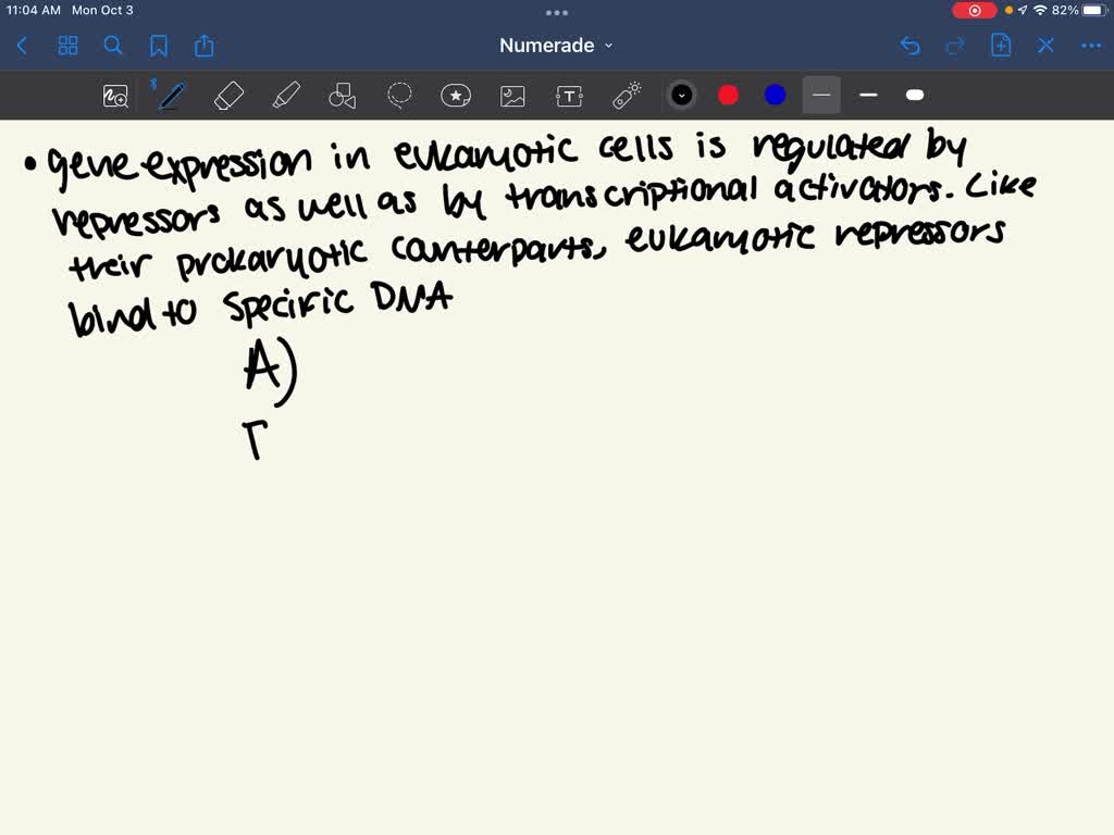 SOLVED: Which of the following statements about eukaryotic gene