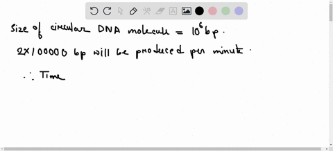 a-circular-molecule-of-dna-contains-1-million-base-pairs-if-the-rate-of-dna-synthesis-at-a-replica-3-66483