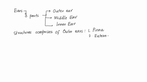 the-ear-hearing-and-balance-15-using-the-key-choices-select-the-terms-that-apply-to-the-following-descrip-tions-placc-the-correct-letler-in-the-answer-blanks-key-choices-m-tympanic-anvil-inc-97013