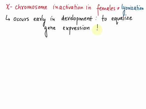 which-is-true-of-x-chromosome-inactivation-in-females-select-125pts-student-results-multiple-choice-multiple-choice-options-it-turns-off-both-x-chromosomes-in-every-cell-it-turns-off-one-x-c-21756