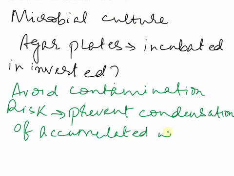prelab-9-selective-media-read-pages-227-230-and-241-256-in-yourlab-manual-watch-the-video-and-answer-the-following-questions-inyour-own-words-before-coming-to-lab-chapter-6-in-your-textbook-67962