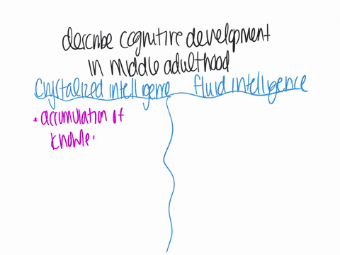 4-describe-cognitive-development-in-middle-adulthood-distinguishing-between-crystallized-and-fluid-intelligence