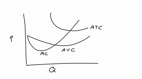 suppose-that-the-market-for-blenders-competitive-market-the-following-graph-shows-the-daily-cost-curves-of-_-firm-operating-in-this-market-hint-after-placing-the-rectangle-the-graph-you-can-97427