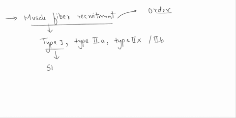 muscle-fiber-recruitment-as-intensity-increases-in-which-order-are-fibers-recruited-type-ilx-type-ila-type-b-type-ila-type-i-type-ilx-c-type-type-ilx-type-ila-d-type-type-ila-type-ilx-49035