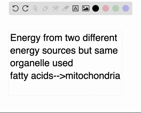 howcan-the-same-pathways-that-oxidize-glucose-also-metabolize-proteins-or-to-think-of-it-another-way-how-can-we-get-energy-from-eating-things-other-than-sugar4-edlt-vicw-inscrt-formnt-toal-t-06433
