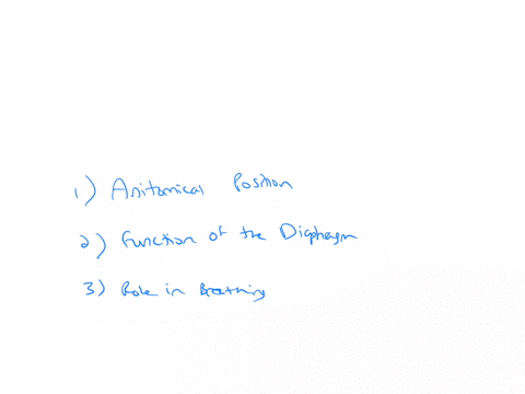 why-is-the-trachea-superior-to-the-diaphragm