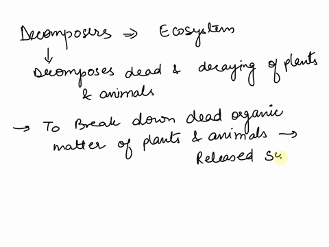what-would-happen-if-decomposers-were-removed-from-an-ecosystem-61542
