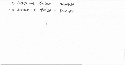 question-16-2-points-sucrose-ordinary-table-sugar-is-a-disaccharide-like-lactose-sucrose-is-composed-of-glucose-and-fructose-sucrose-and-lactose-have-the-same-chemical-formula-c12h24o11-expl-35216