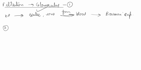 following-filtration-how-does-the-nephron-return-nutrient-molecules-back-to-the-blood-and-what-may-occur-if-there-is-an-excess-of-nutrients-in-the-filtrate-use-a-specific-example-to-answer-t-46502