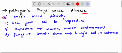 which-statement-best-summarizes-how-pathogenic-fungi-cause-disease-o-a-pathogenic-fungi-suck-blood-directly-out-of-your-body-ob-pathogenic-fungi-use-your-cells-to-reproduce-themselves-oc-pat-18598