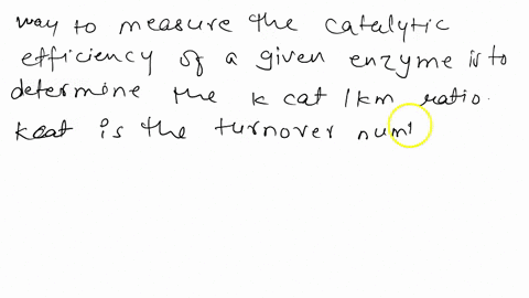 how-efficient-can-an-enzyme-be-41446