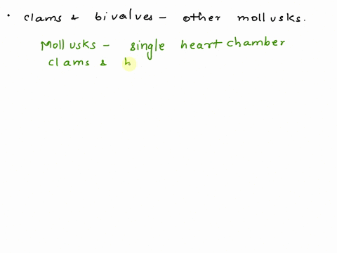 how-do-clams-and-bivalves-vary-from-other-mollusks-within-the-phylum-mollusca-79968