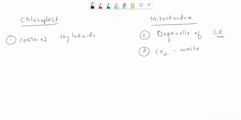 par-a-can-you-match-the-characteristics-with-the-correct-organelle-sort-each-structure-or-function-depending-on-whether-it-describes-chloroplast-or-mitochondrion-reset-help-contains-thylakoi-26348