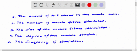 the-force-of-a-muscle-contraction-is-not-affected-by-__________-1-the-amount-of-atp-stored-in-the-muscle-cells-2-the-number-of-muscle-fibers-stimulated-3-the-size-of-the-muscle-fibers-stimul-74961