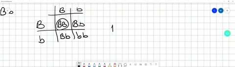 for-the-cross-bb-x-bb-what-is-the-expected-genotype-ratio-express-your-answers-as-three-numbers-separated-by-colons-bb-bb-bb-110-submit-previous-answers-request-answer-incorrect-try-again-5-00796