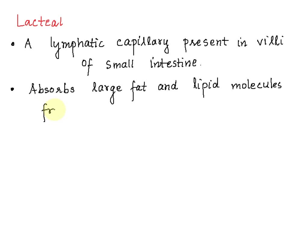 SOLVED Which of these best describes a lacteal? A) special capillaries