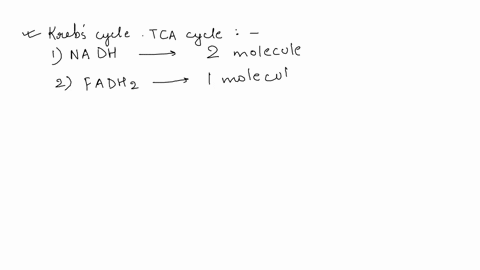 how-many-nadh-and-fadh2-are-formed-in-each-turn-of-krebs-cycle-16692