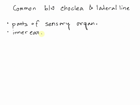what-do-the-receptor-cells-in-the-lateral-line-system-along-the-sides-of-a-shark-and-the-cochlea-o-2-21192