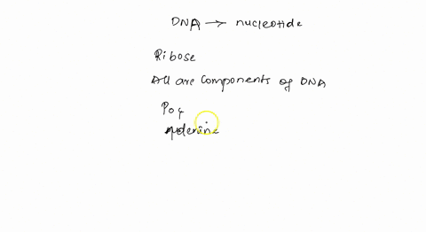 question-8-1-pts-which-of-the-following-is-not-found-in-a-nucleotide-of-dna-ribose-all-are-components-of-a-dna-nucleotide-phosphate-adenine-09364