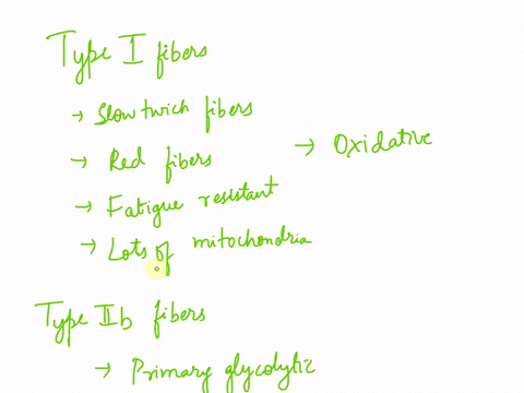 place-the-following-descriptions-with-the-appropriate-skeletal-muscle-fiber-type-labels-can-be-used-more-than-once-slow-twich-fibers-oxidative-contracts-rapidly-primarily-glycolytic-red-fibe-07875