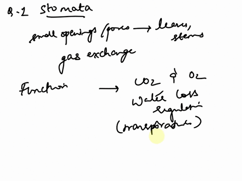 1-what-are-stomata-2-how-do-stomata-function-3-what-materials-enter-the-leaf-and-exit-from-the-lead-through-stomata-4-why-must-the-leaf-obtain-carbon-dioxide-co2-5-describe-the-path-water-ta-41124