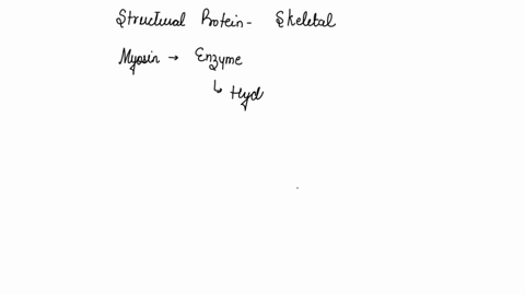 which-structural-protein-of-skeletal-muscle-also-acts-as-an-enzyme-tropomyosin-myosin-heavy-chains-actin-filaments-myosin-light-chains-35962