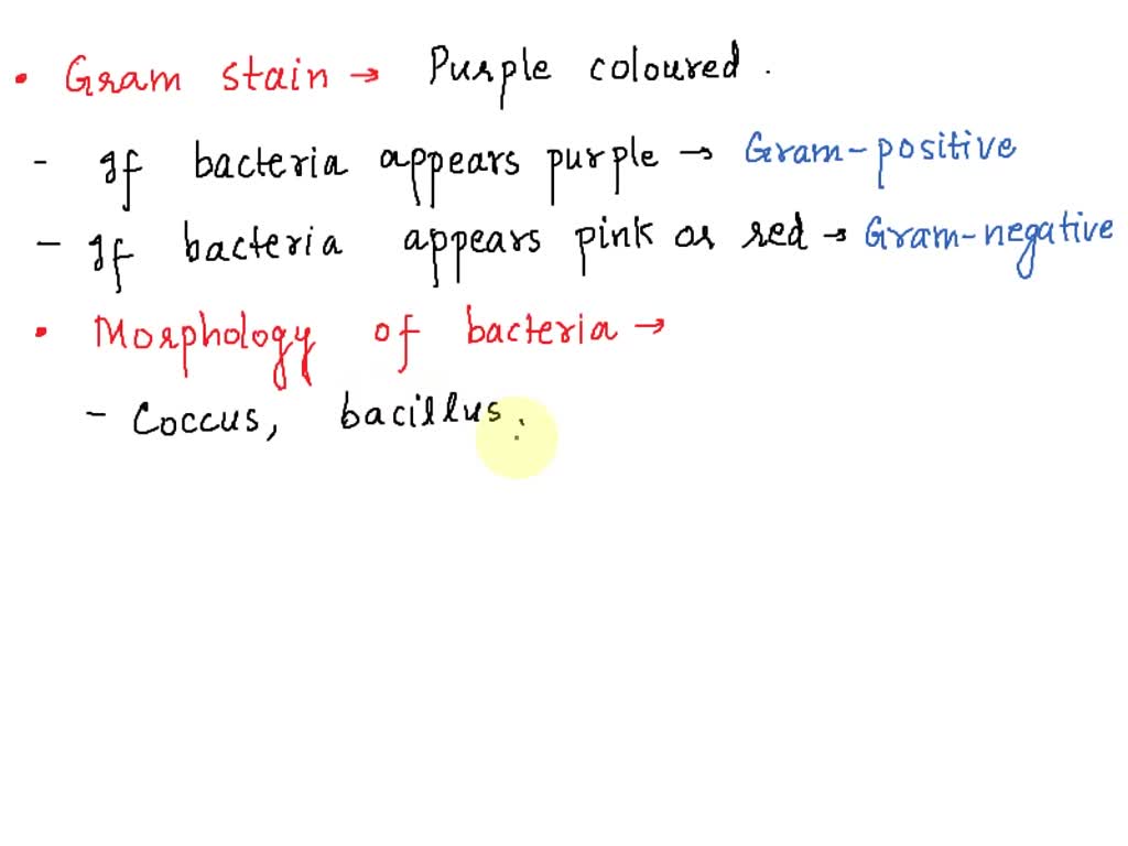 Video Solution: Can You Determine The Gram Reaction Of A Bacterial Cell 