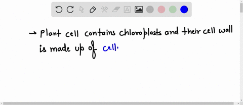 which-substance-would-most-likely-be-found-in-the-cell-walls-of-an-organism-with-chloroplasts-and-is-multicellular-a-all-are-correct-b-chitin-c-peptidoglycan-d-cellulose