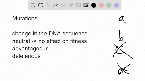which-of-the-following-statements-about-mutations-is-true-some-regions-of-the-genome-are-more-iikely-to-accumulate-mutations-than-others_-environments-encourage-adaptive-mutations-to-arise-e-98358