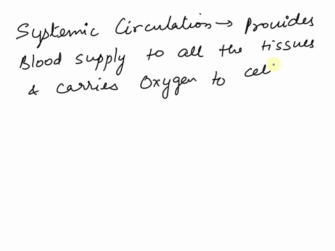blood-received-into-the-heart-from-the-systemic-circuit-is-1-high-in-oxygen-and-low-in-carbon-dioxide-2-low-in-oxygen-and-low-in-carbon-dioxide-3-high-in-oxygen-and-high-in-carbon-dioxide-4-10244